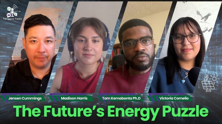 Powering the Future: Energy Access, Critical Minerals & The Degrowth Debate